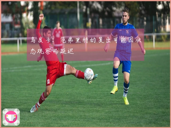 乌度卡：范弗里特的复出可能因状态观察而延迟